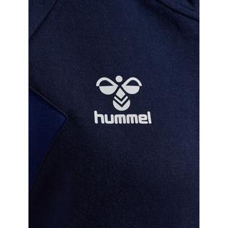 Hummel  hoodie it reißverschluss, daen huel travel 