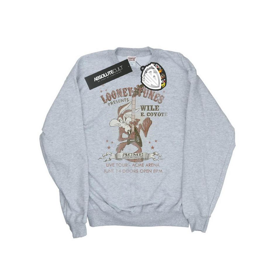 LOONEY TUNES Wile E Coyote Sweatshirt  