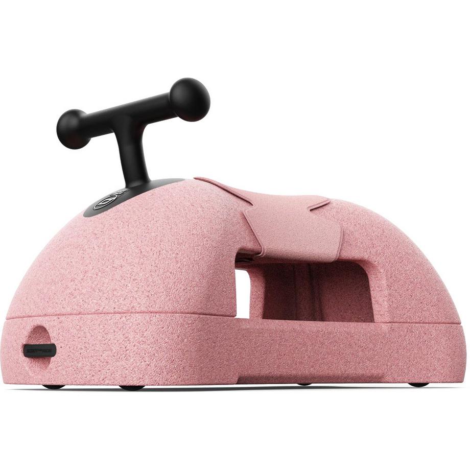 MyFirst Rutscher Rose