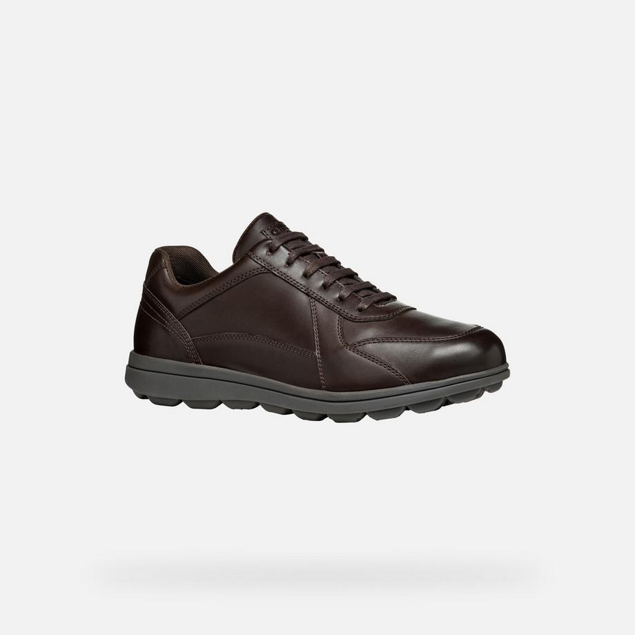 GEOX Spherica EC12 Sneakers  