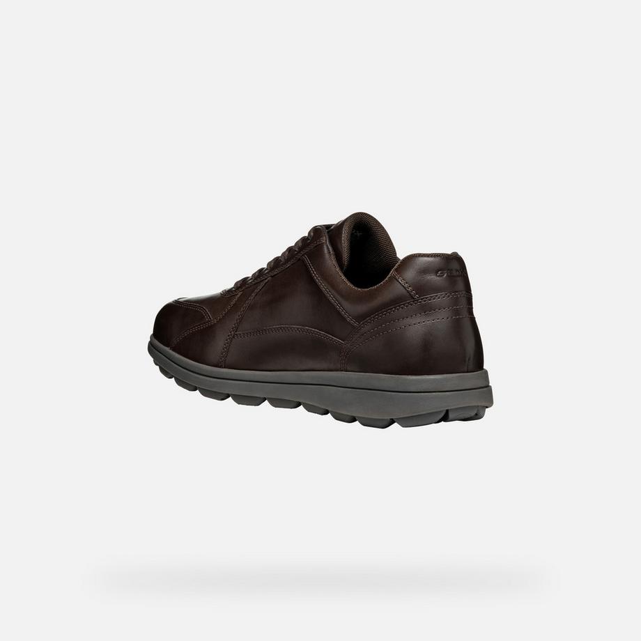 GEOX Spherica EC12 Sneakers  