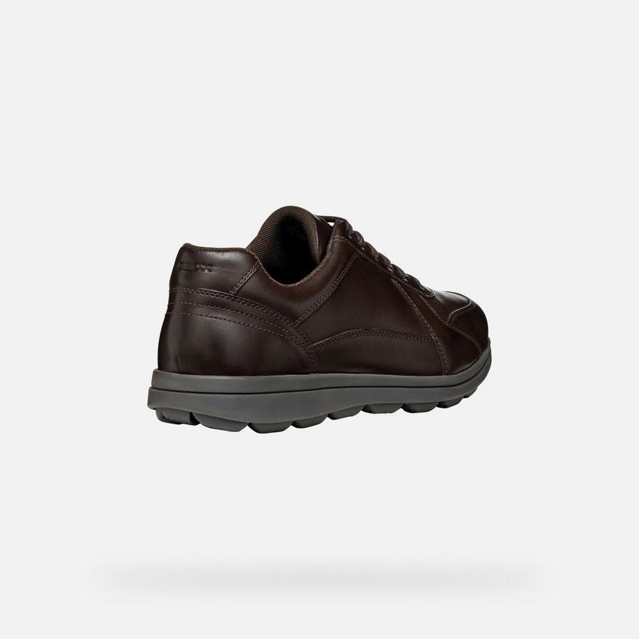GEOX Spherica EC12 Sneakers  