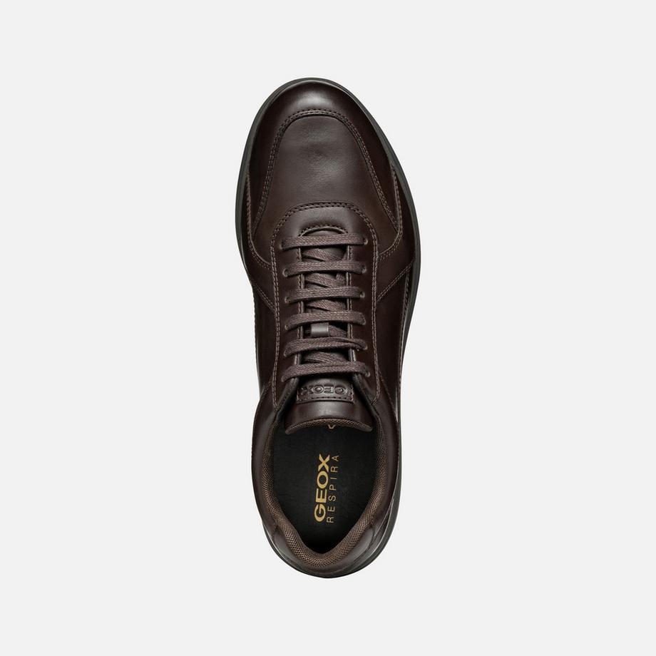 GEOX Spherica EC12 Sneakers  