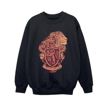 Gryffindor Sweatshirt