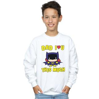 DC COMICS  Dad I Love You This Much Sweatshirt 