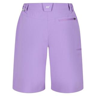 Regatta  Xert Shorts 