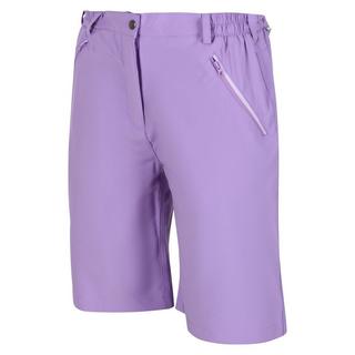 Regatta  Xert Shorts 