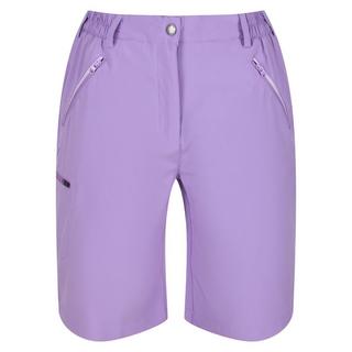 Regatta  Xert Shorts 