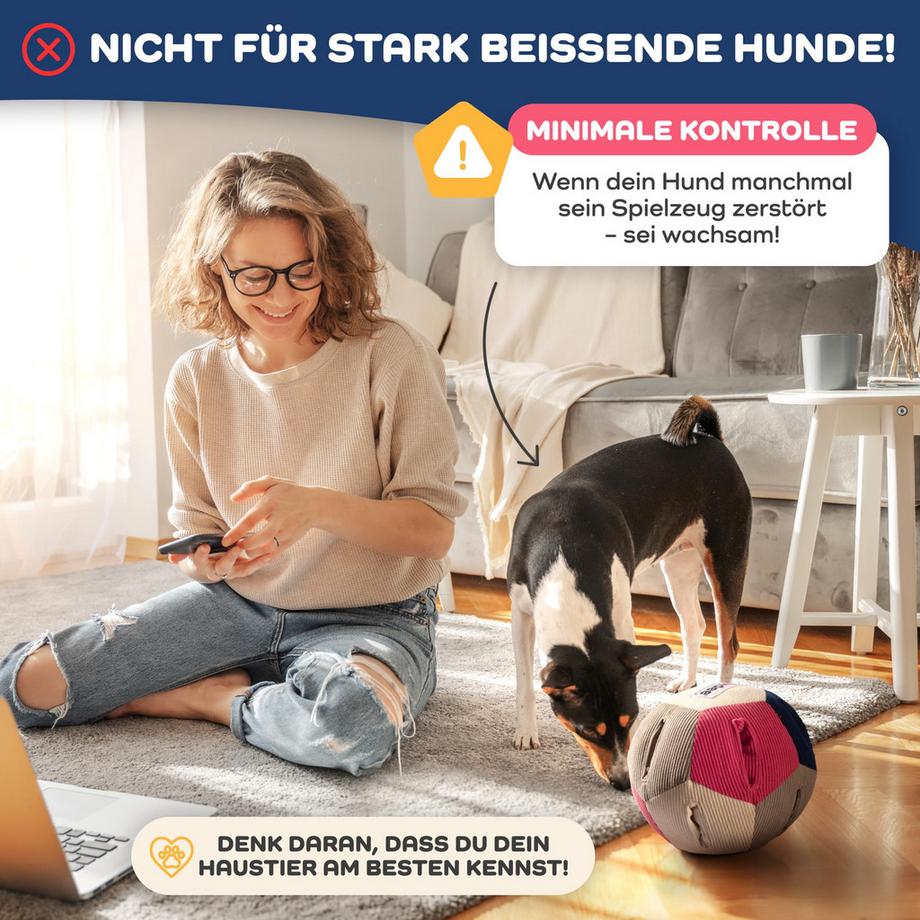 Alopini  Balle à Renifler pour Chiens - Jouet pour Chien Intelligent avec 4 Niveaux de Difficulté 