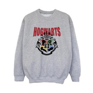 Harry Potter  Hogwarts Sweatshirt 