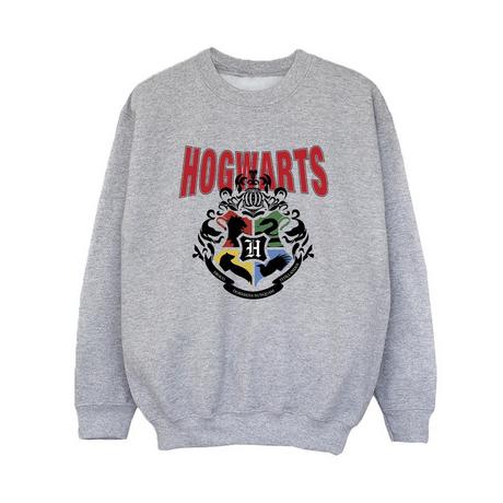 Harry Potter  Hogwarts Sweatshirt 