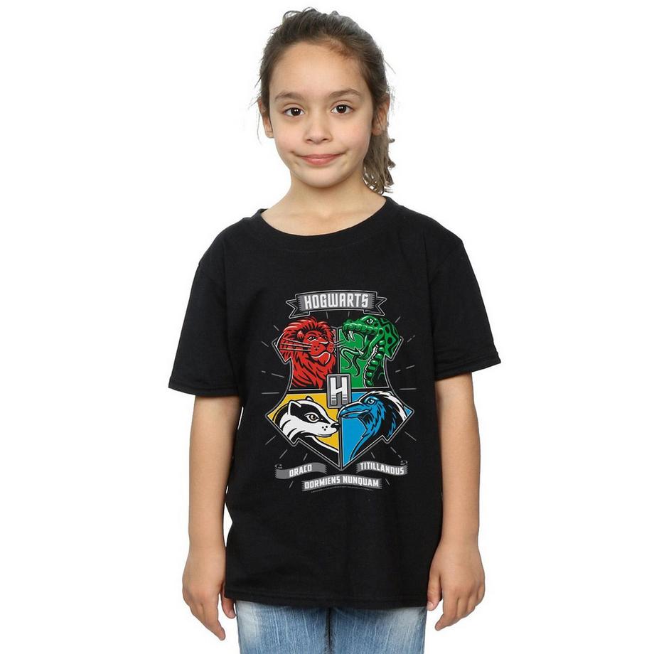 Harry Potter  Hogwarts TShirt 