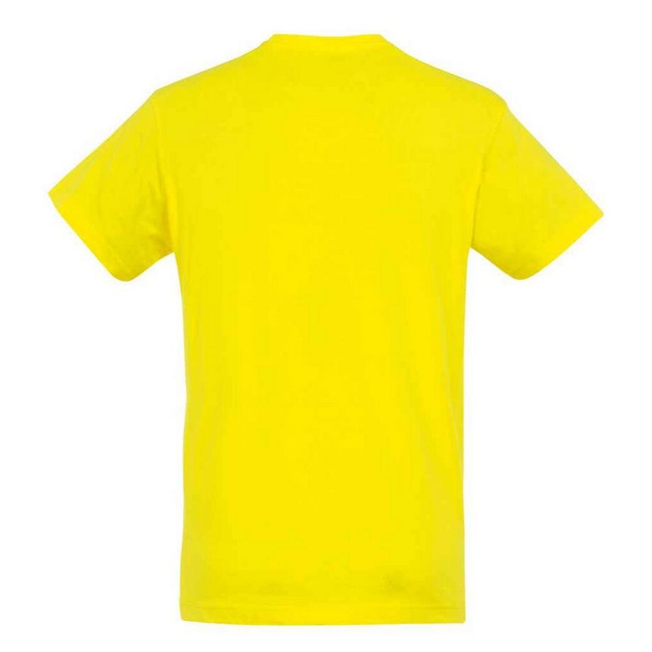 SOLS Regent T-Shirt  