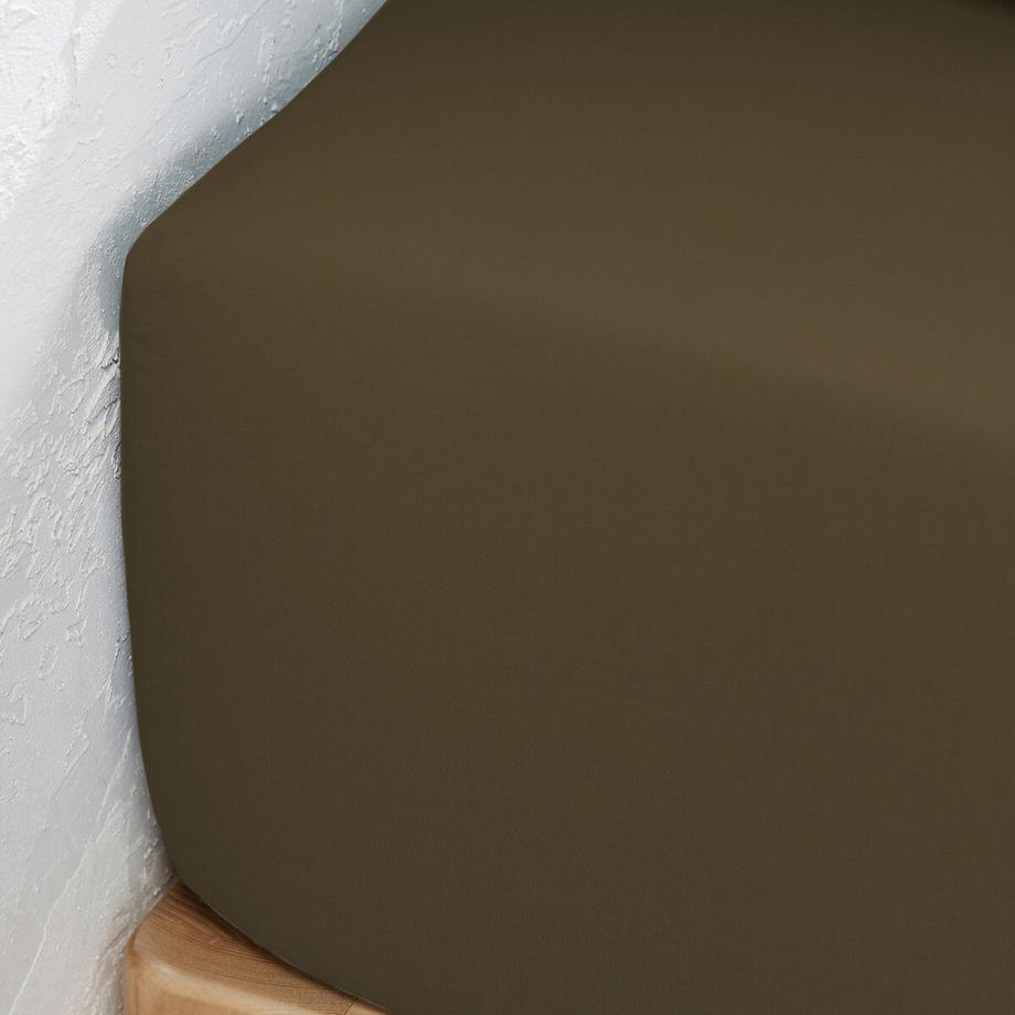 La Redoute Intérieurs Lenzuolo con angoli Scenario  