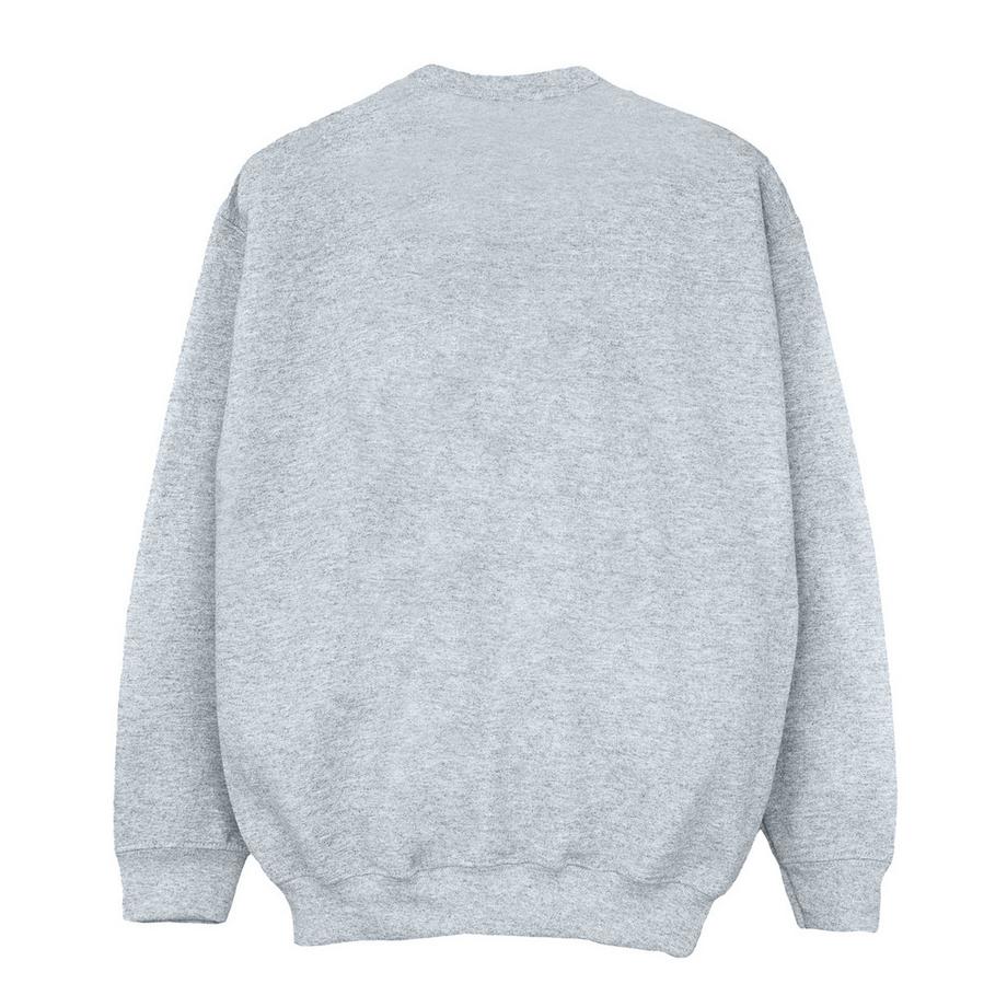 Disney  Sweatshirt 