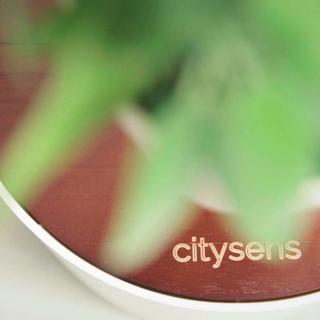 CitySens Modularer Vertikaler Pflanzengefäss  