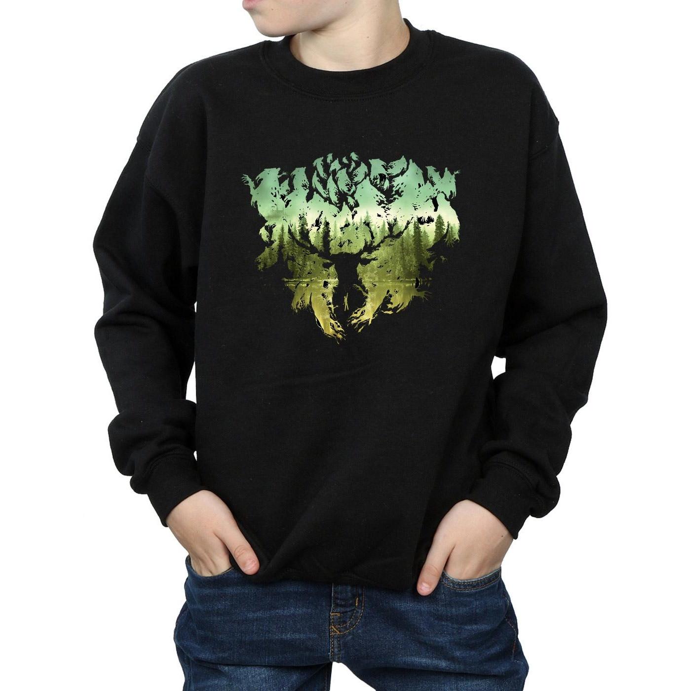 HARRY-POTTER  Sweatshirt 