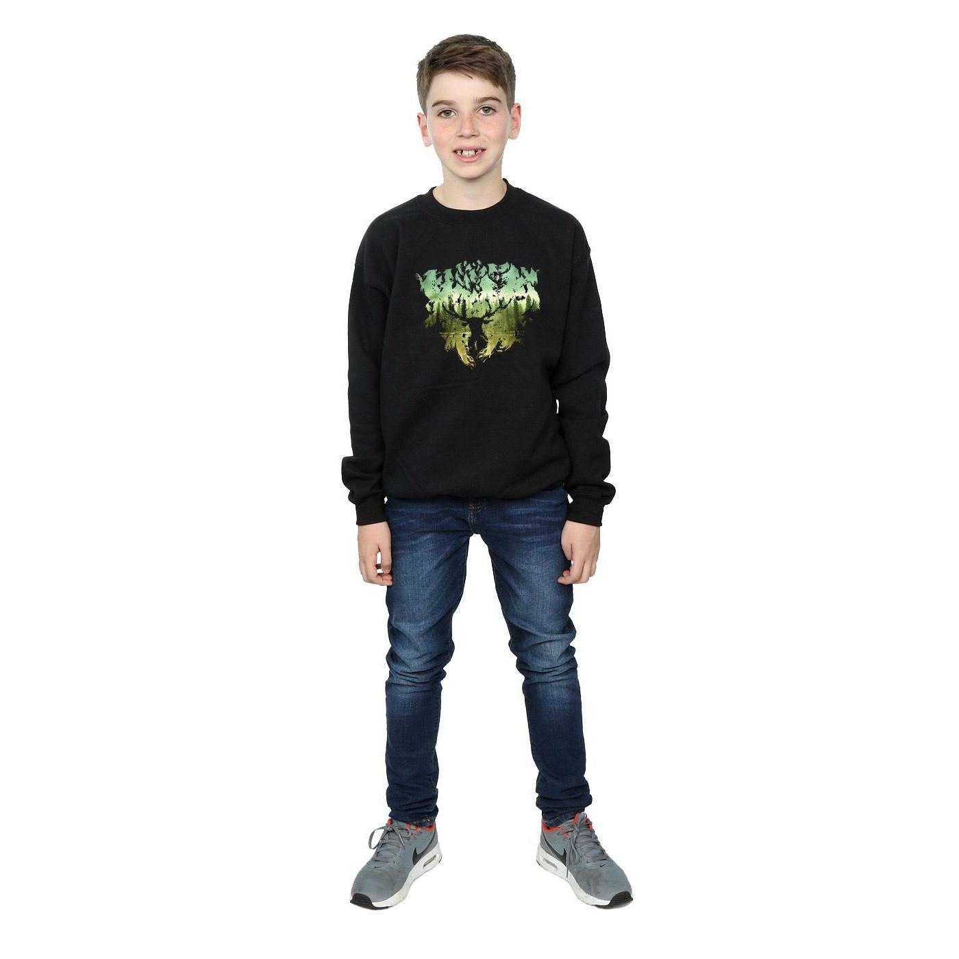 HARRY-POTTER  Sweatshirt 