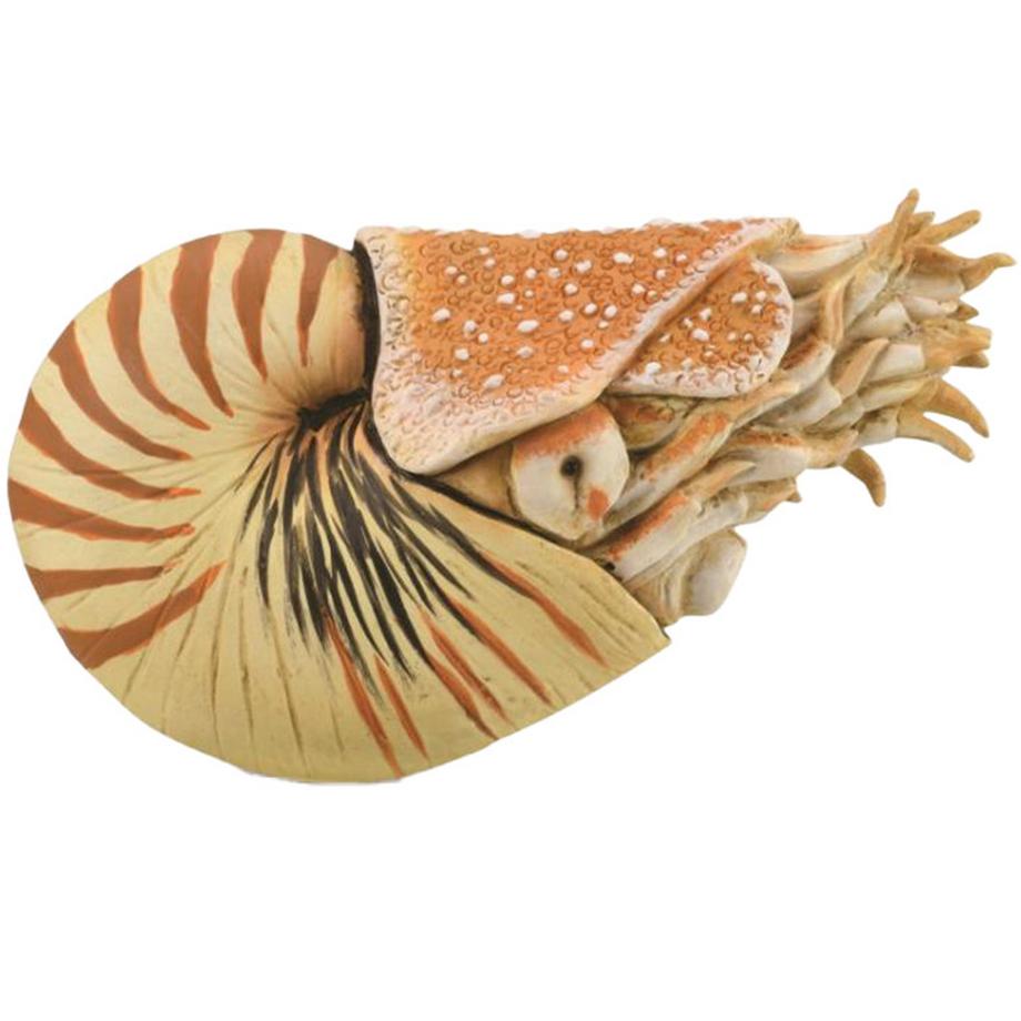 CollectA  Prehistoric World Nautilus pompilius 