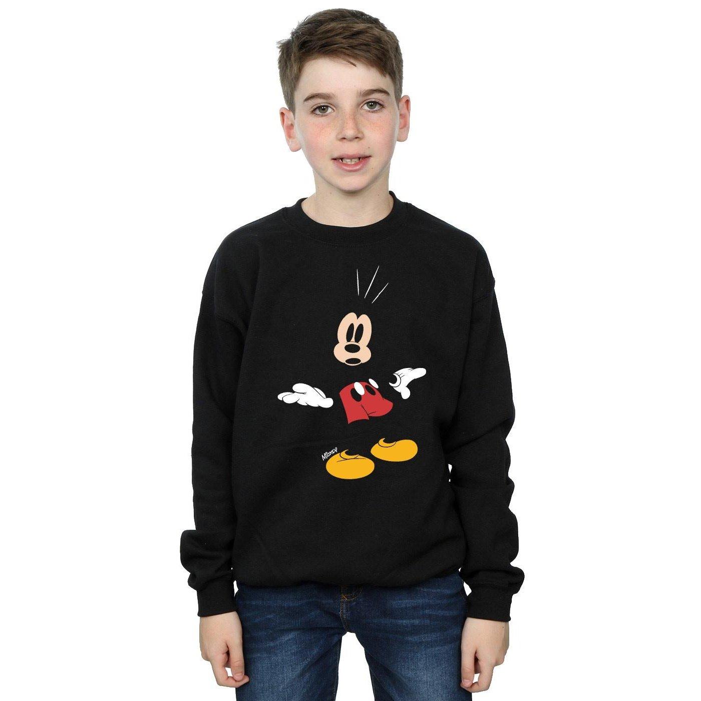 Disney  Sweatshirt 