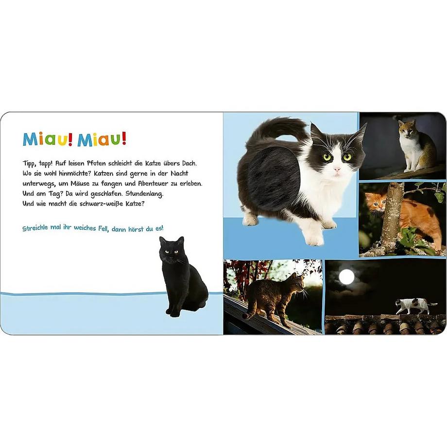 Hör mal rein, wer kann das sein? – Tiere in der Nacht Kein Autor Copertina rigida 