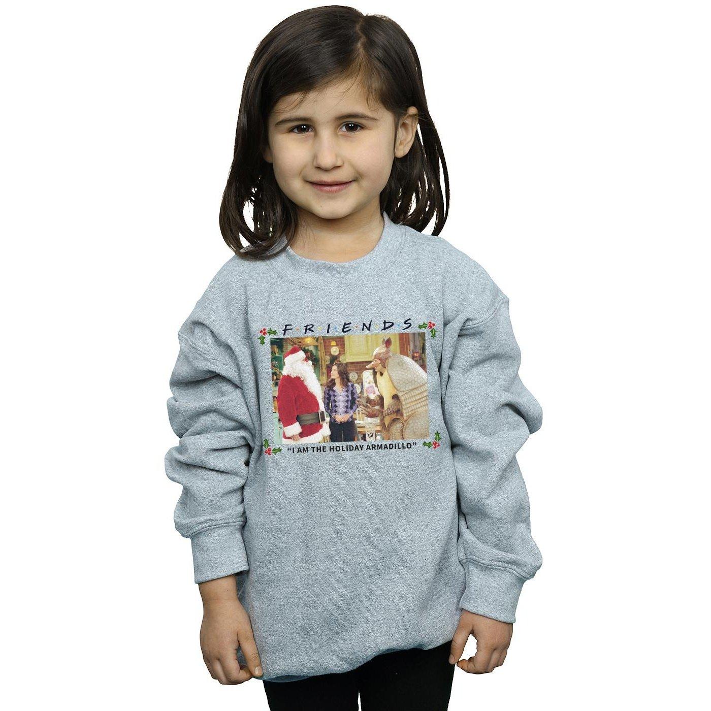 Friends  I Am The Holiday Armadillo Sweatshirt 