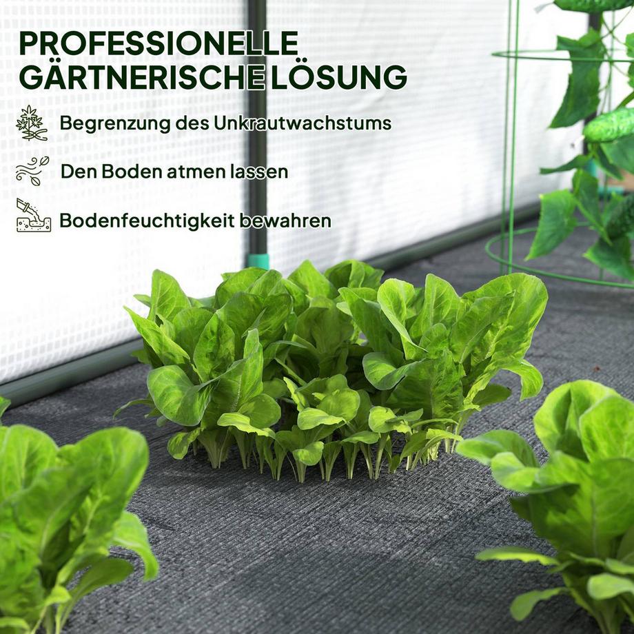 Northio Gewächshaus mit Rolltür, winterfest Foliengewächshaus aus Stahl, Treibhaus für Balkon, Garten, Tomatenhaus mit UV schutz 200x80x157cm Tomatengewächshaus für Gemüse Blumen Pflanzen Weiß  