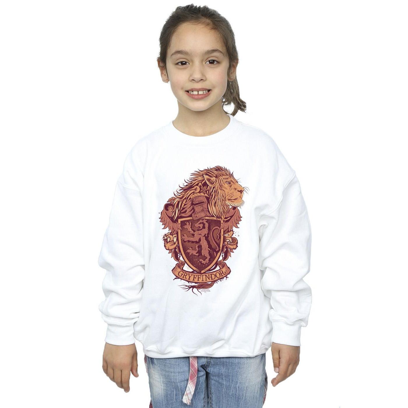 Harry Potter  Gryffindor Sweatshirt 