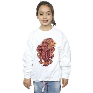 Harry Potter  Gryffindor Sweatshirt 