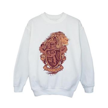 Gryffindor Sweatshirt