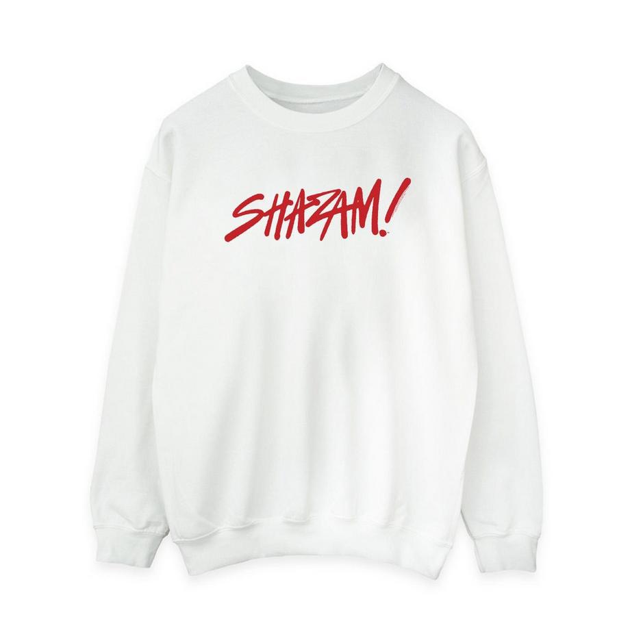 DC COMICS Fury Of The Gods Felpa  