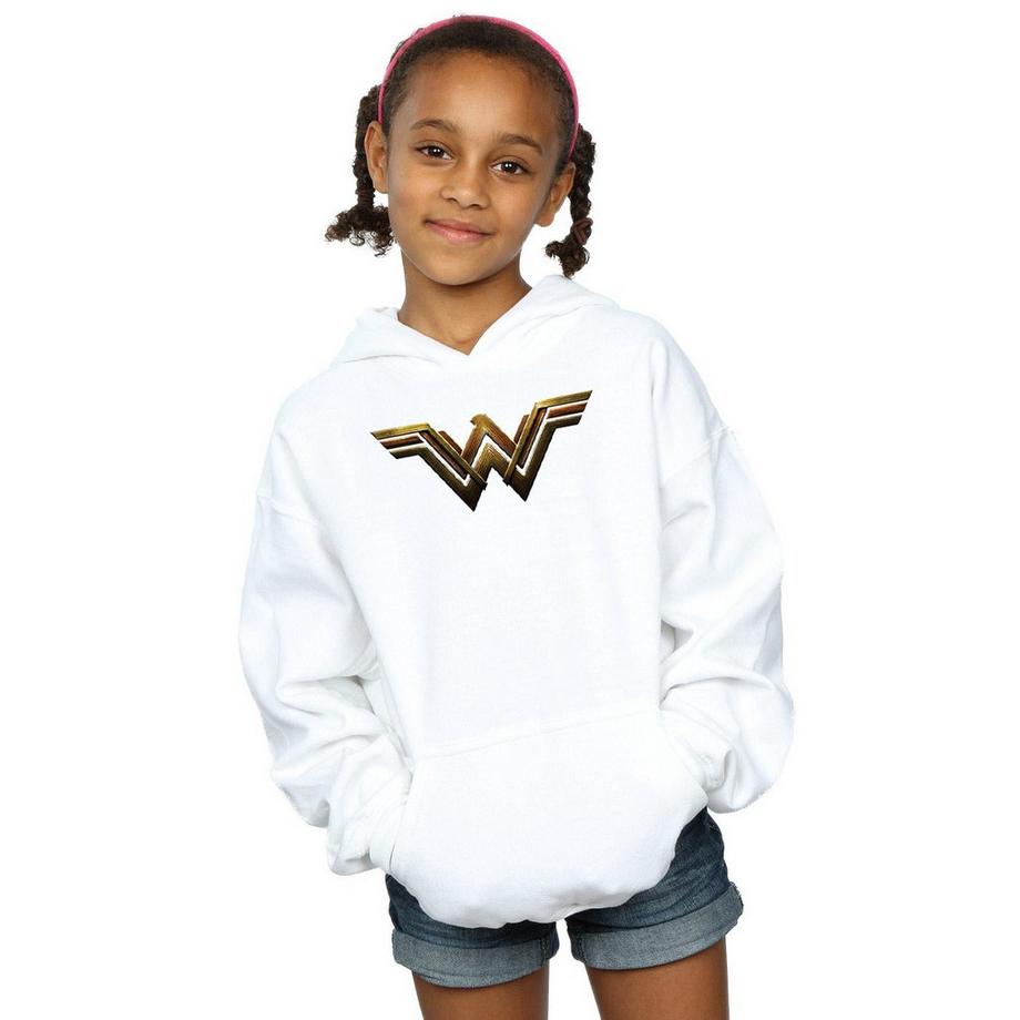DC COMICS  Justice League Kapuzenpullover 