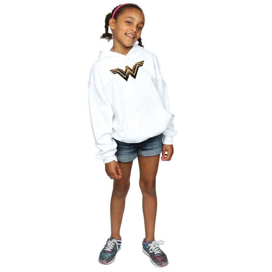 DC COMICS  Justice League Kapuzenpullover 