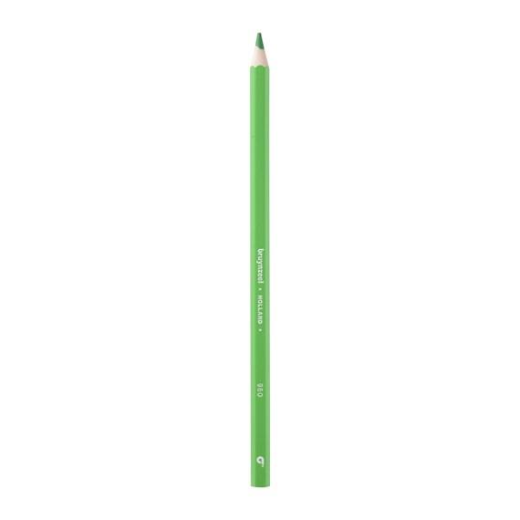 Bruynzeel  Bruynzeel 60516960 crayon de couleur Vert clair 12 pièce(s) 