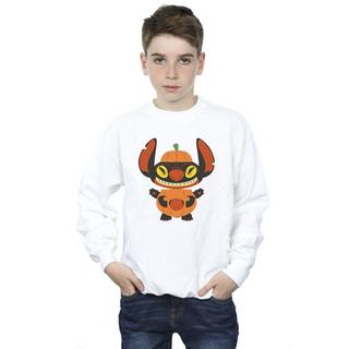 Disney  Sweatshirt 