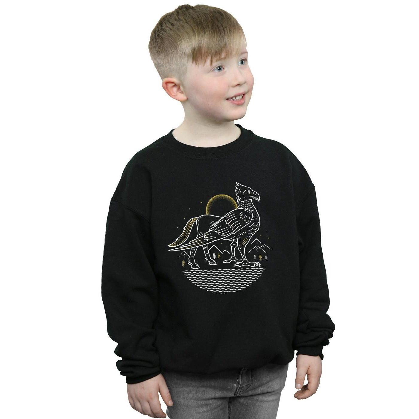 HARRY-POTTER  Sweatshirt 