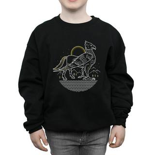 HARRY-POTTER  Sweatshirt 