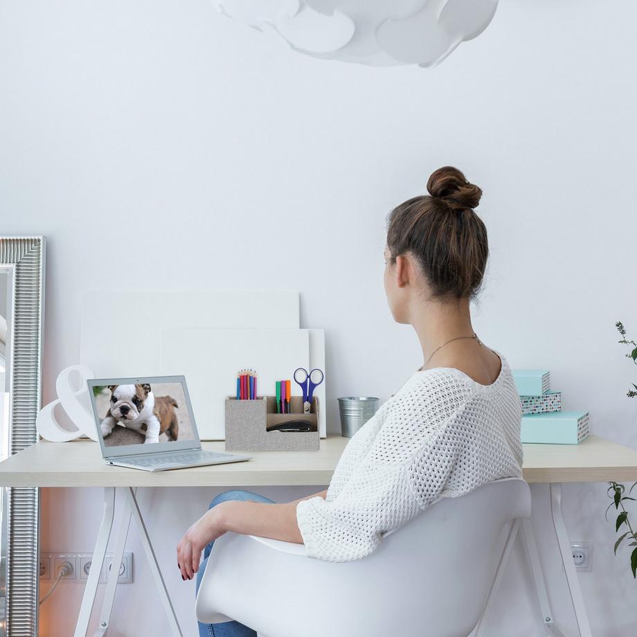 B2X Organizer da scrivania in lino  