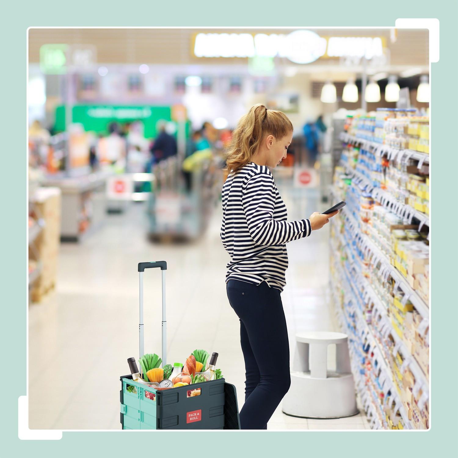 Northix Zusammenklappbarer Einkaufswagen mit Deckel  