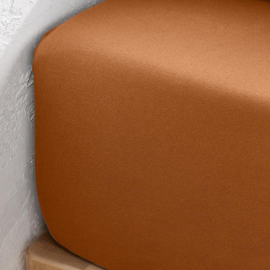 La Redoute Intérieurs Scenario Baumwolljersey Fixleintuch  