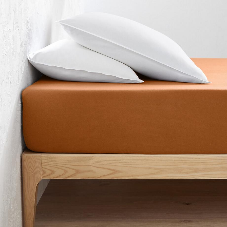 La Redoute Intérieurs Scenario Baumwolljersey Fixleintuch  