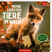 Meine liebsten Tiere im Wald Kein Autor Copertina rigida 