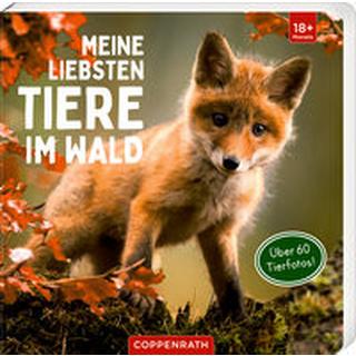 Meine liebsten Tiere im Wald Kein Autor Copertina rigida 