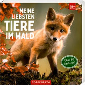 Meine liebsten Tiere im Wald