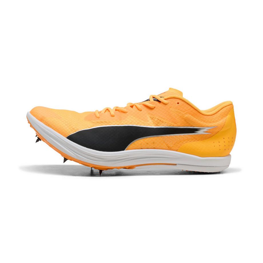 Scarpe chiodate atletica evospeed