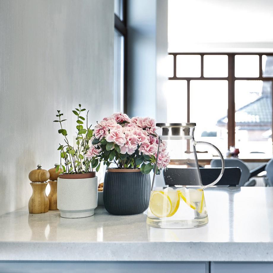 B2X Carafe en verre avec couvercle 1,8 litres  