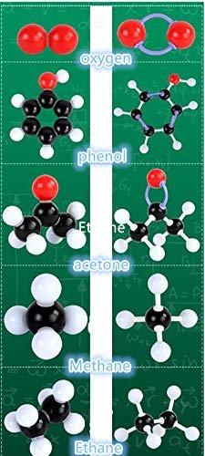 Activity-board  Kit de modèle moléculaire de chimie (323 pièces), ensemble étudiant ou enseignant pour l'apprentissage de la chimie organique et inorganique 