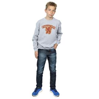 HARRY-POTTER  Gryffindor Sweatshirt 