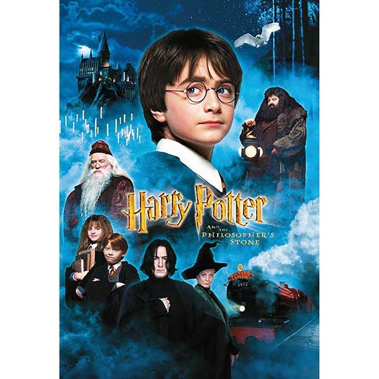 Thumbs Up  Harry Potter Puzzle 50 pièces - Harry Potter à l'école des sorciers 