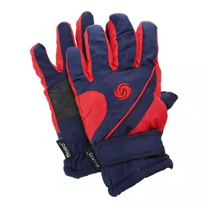 Extra Warm Thermal Padded Ski Gloves With Palm Grip